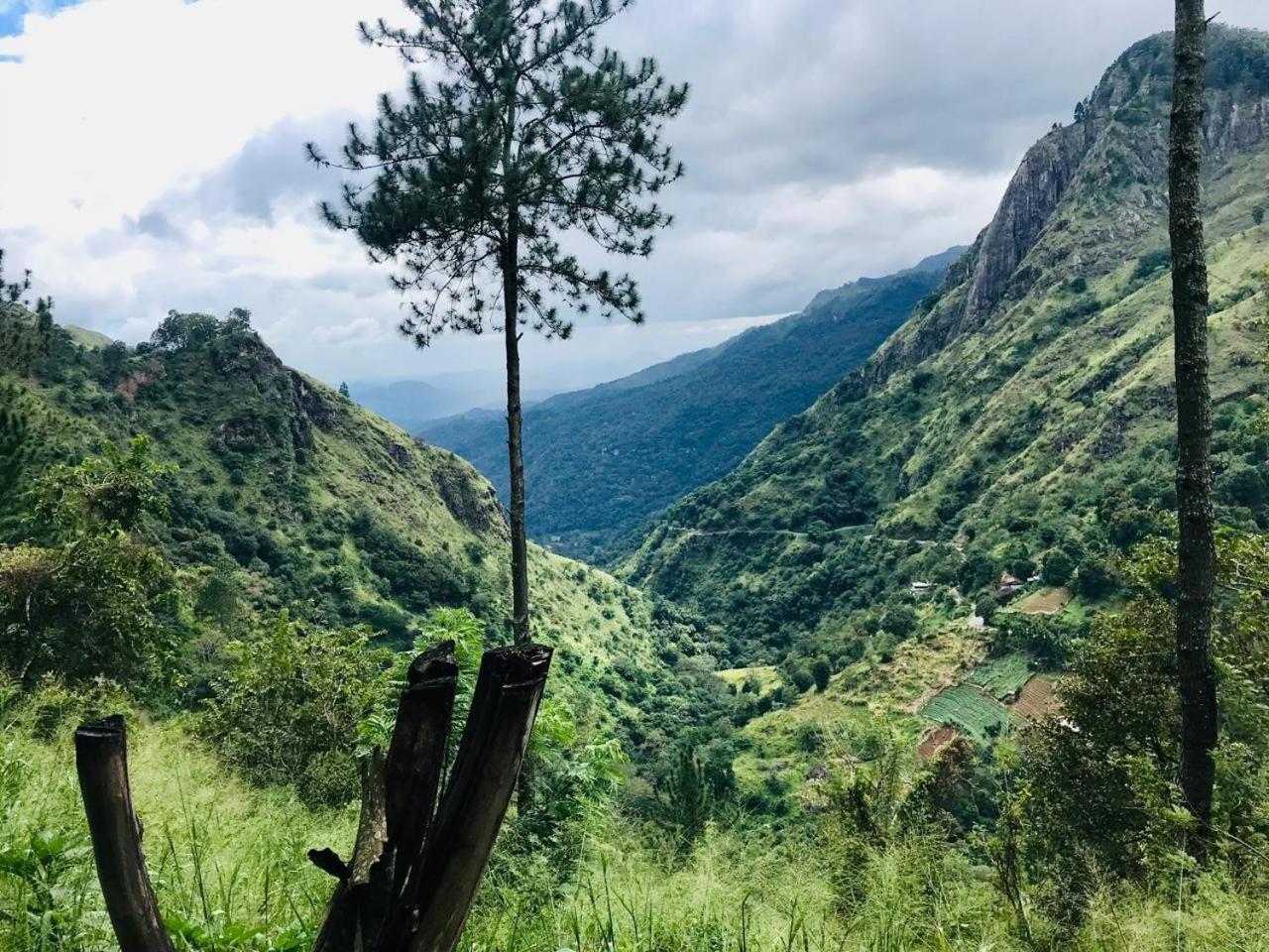 Belmount Ella Hotel Luaran gambar