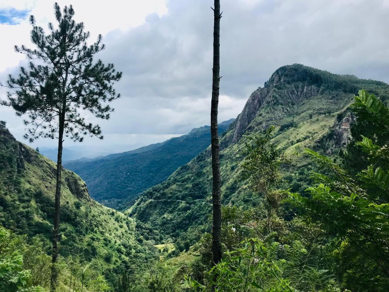 Belmount Ella Hotel Luaran gambar